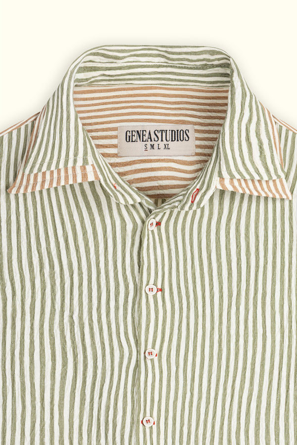 Dark Green Double Collar Striped Shirt